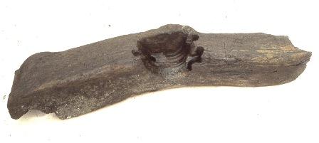 Mølledel fra ca. 1000, fundet i Mølleåen