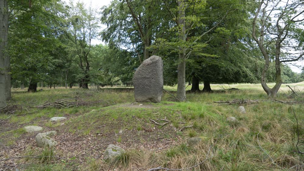 Skandinavisk sten